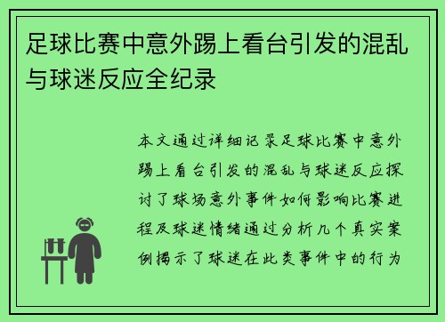 足球比赛中意外踢上看台引发的混乱与球迷反应全纪录