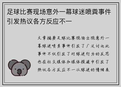足球比赛现场意外一幕球迷喷粪事件引发热议各方反应不一