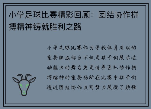 小学足球比赛精彩回顾：团结协作拼搏精神铸就胜利之路