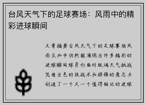 台风天气下的足球赛场：风雨中的精彩进球瞬间