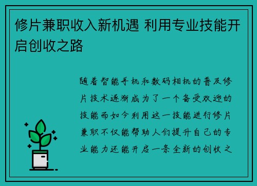 修片兼职收入新机遇 利用专业技能开启创收之路