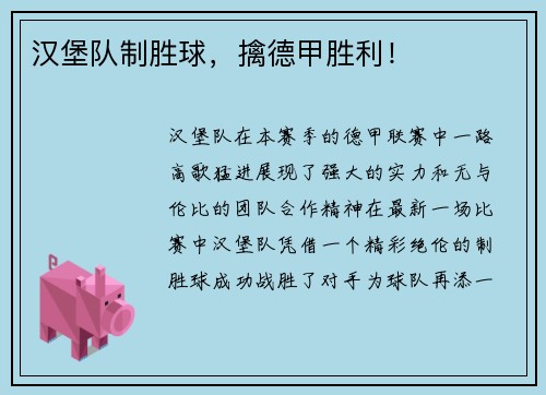 汉堡队制胜球，擒德甲胜利！