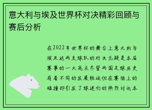 意大利与埃及世界杯对决精彩回顾与赛后分析