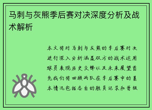 马刺与灰熊季后赛对决深度分析及战术解析