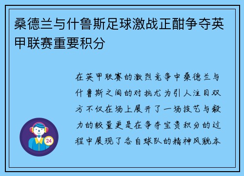 桑德兰与什鲁斯足球激战正酣争夺英甲联赛重要积分