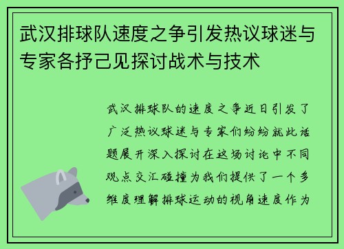 武汉排球队速度之争引发热议球迷与专家各抒己见探讨战术与技术